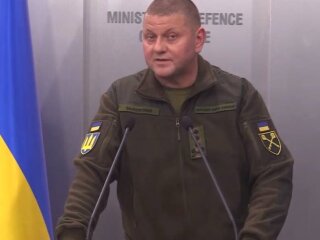 Валерий Залужный, фото: скриншот из видео