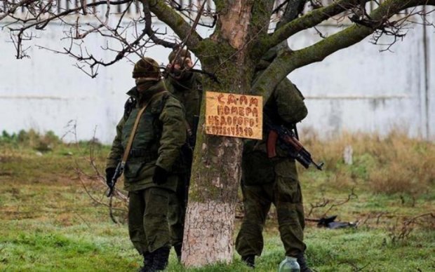 "Кроты-мутанты" атакуют крымчан