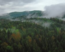 В Карпатах турист впал в кому