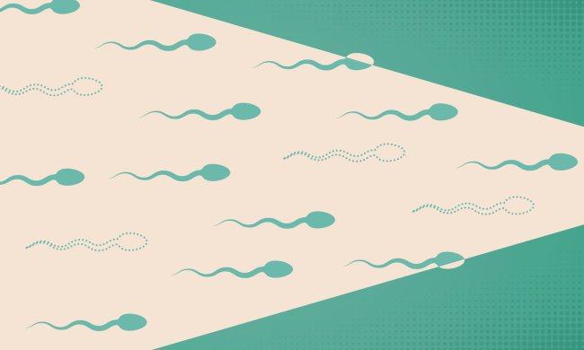 Стара гвардія завжди в справі: вчені розвінчали міф про вік сперматозоїдів