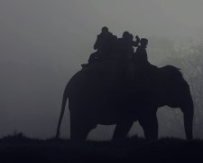 Неисследованная Африка: экзотические ретро-фотографии черного континента, сделанные путешественниками в начале 1930-х годов