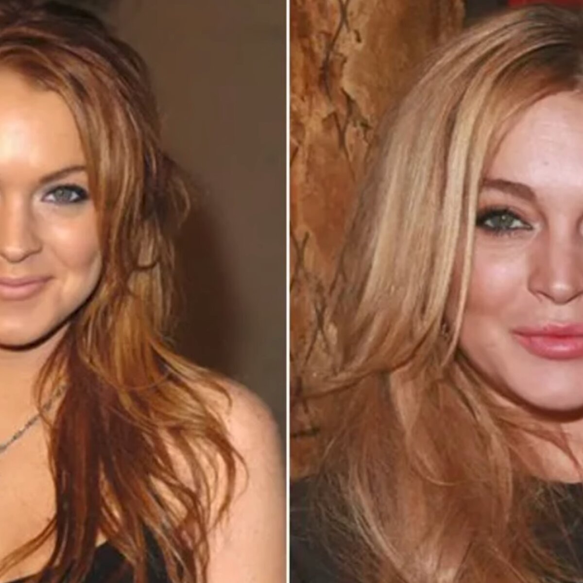 Шашты кисканың жақыннан түсірілген фотосы