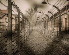 Міжнародний день проти фашизму 2017: історія та традиції