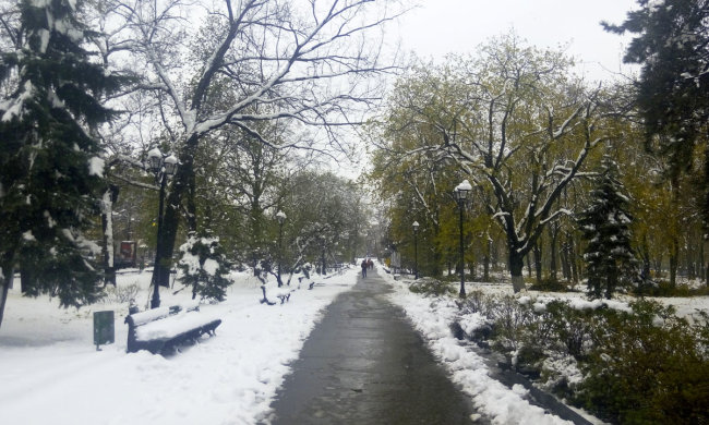 Погода на початок березня: стихія визначилася з графіком, дощі та завірюхи відступають