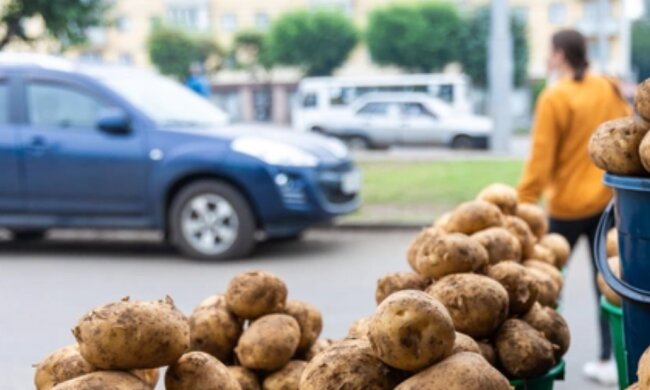 Водительский секрет с картошкой, скриншот: YouTube