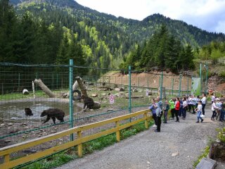 Национальный природный парк "Синевир", фото с фейсбук