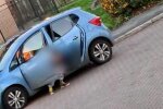 Жінка випорожнювалася посеред вулиці