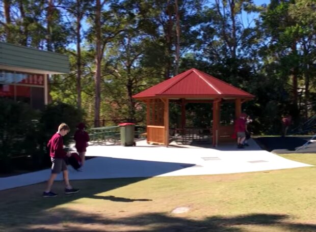 Австралийская школа, кадр из видео