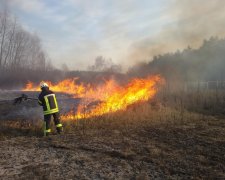 Одещина у вогні: пекельне полум'я пожирає метр за метром, рятувальники валяться з ніг