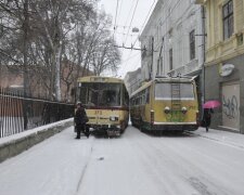 Чернівчанин з дитиною на руках мало не став жертвою схибленого водія: "Тролейбус смерті"