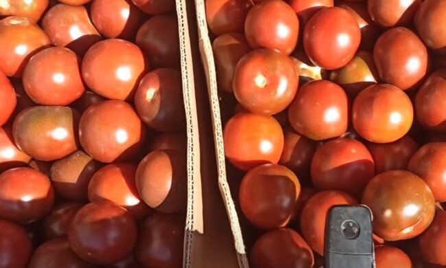 Овочі. Фото: скриншот Youtube