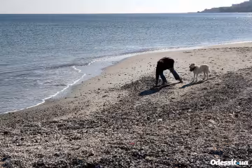Эффектные пейзажи: в Одессе "отступило" море, обнажив красоту побережья