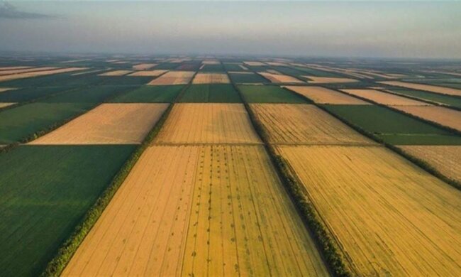 Сільськогосподарська земля на Черкащині