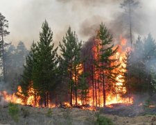 Синоптики попередили про зловісну небезпеку: Україна спопелить пекельне полум'я, дощі не врятують