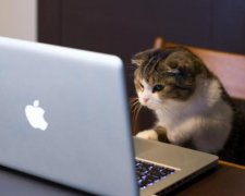 Больше прозрачности: Украина присоединилась к удобному сервису