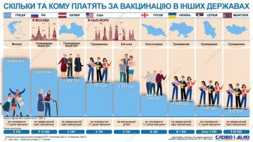 Инфографика "Слово и дело"