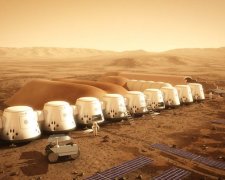 Кошка Ася начала первый рейд на браконьеров в Украине: видео