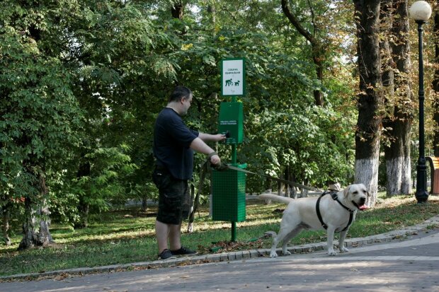 Вінницьких псів посадили "на унітази": містяни показали цінний лайфхак всій Україні
