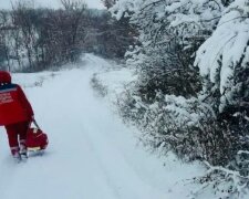 Фото: Центр экстренной медицинской помощи и медицины катастроф