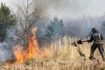 Пожежа в лісі - фото УНН