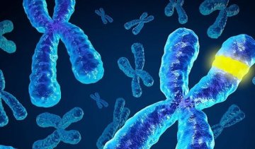 Європа схвалила генну терапію для дітей 