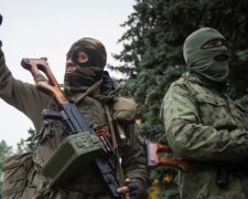 Підпільну мережу «ДНР» намагалися створити на Житомирщині