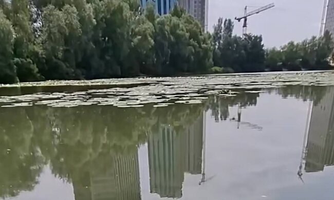 Озеро Небреж на Осокорках у Києві