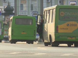 маршрутки, скриншот с видео