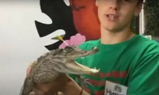 Дніпряни зможуть спробувати крокодила - мрія гурмана