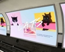 Лондонські коти оселяться у метро