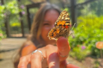 Гороскоп, изображение: Pinterest