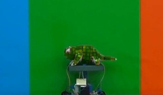 Китайцы создали робота-хамелеона (видео)
