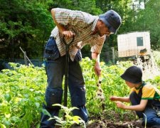 Українці проміняли супермаркети на город