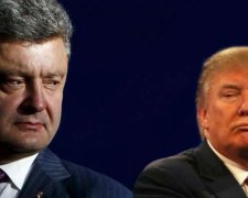 Встреча Трампа и Порошенко: в ПАСЕ поделились ожиданиями