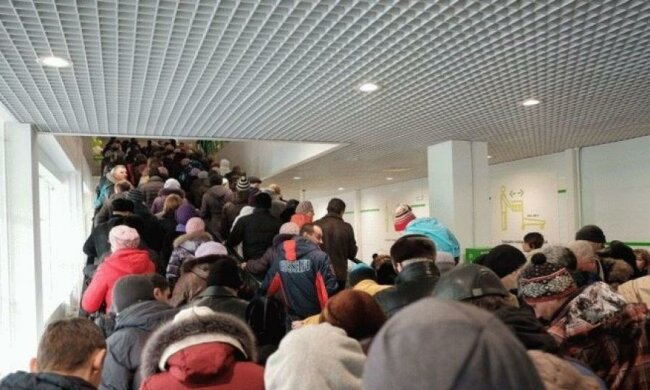 Ради саженцев россияне разгромили магазин (видео)