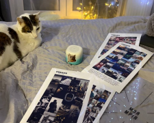 Карта бажань, котик, фото: Знай.ua