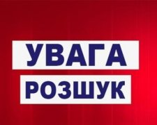 У Харкові безвісти зникла школярка