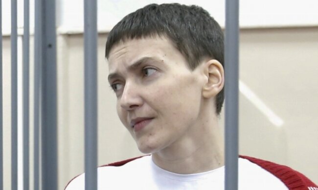 Завершується попереднє слідство у справі Савченко - Фейгін