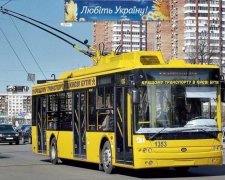 Київський тролейбус поклав у лікарню пенсіонерку
