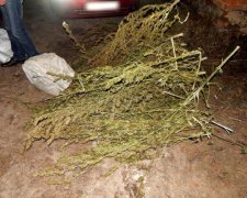 Чоловік на Полтавщині зберігав чотири мішки коноплі на подвір’ї (фото)