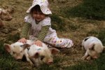 Британським немовлятам пересадять свинячі органи