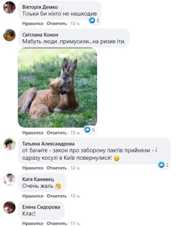 Коментарі до публікації Єгора Фірсова: Facebook