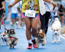 Спортсменка підібрала покинуте цуценя і пробігла з ним 12 кілометрів: зворушливе відео