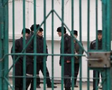 Порошенко принял новый закон, готовятся массовые аресты