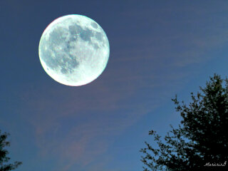 Полнолуние 21 сентября, фото из открытых источников