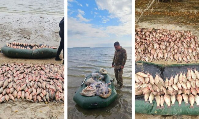 Браконьєри наловили риби на 2 мільйони