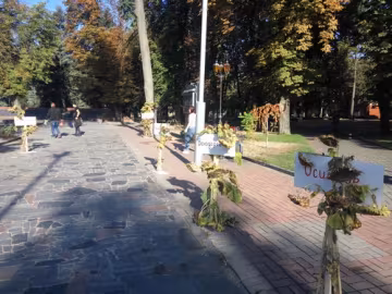 Загинули за нас в Іловайському котлі: у Вінниці пам'ять героїв вшанували алеєю з соняхів