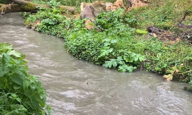 річка Тетерів