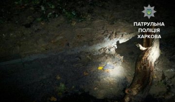 Харків'янин попався на "крадіжці століття"