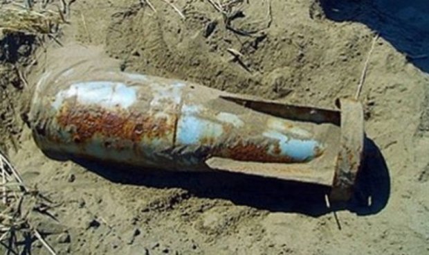 Житомирские лесники нашли фугасную авиационную бомбу